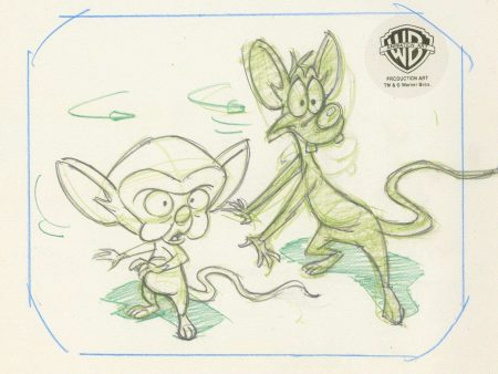 Animaniacs Original Production Drawing: Pinky And Brain Discount